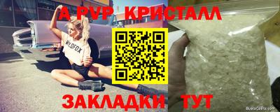 прущие грибы Дубна