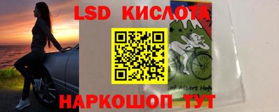 прущие грибы Донской