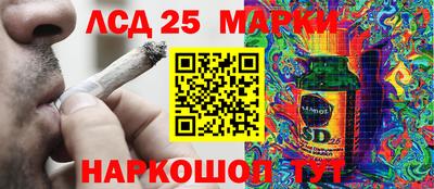 прущие грибы Дубна