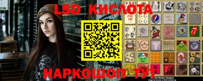 прущие грибы Донской
