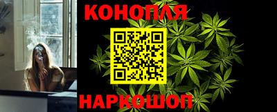 прущие грибы Дубна