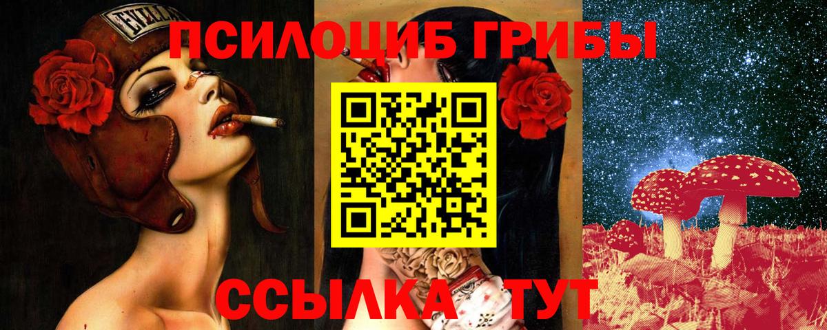 Псилоцибиновые грибы мицелий  Псилоцибиновые грибы MAGIC MUSHROOMS  Магадан 