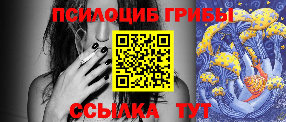 Магадан  Псилоцибиновые грибы GOLDEN TEACHER  Псилоцибиновые грибы ЛСД  Вход с VPN 