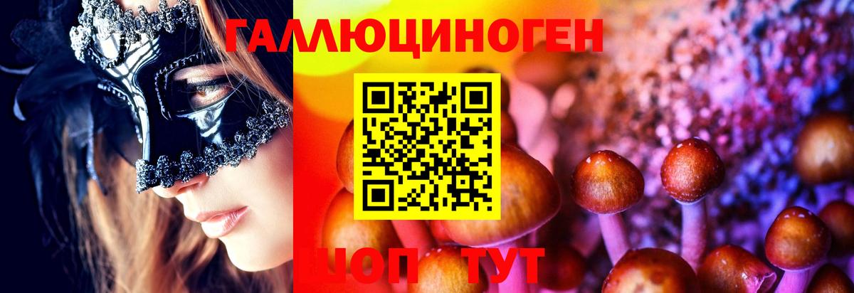 Псилоцибиновые грибы Cubensis Магадан