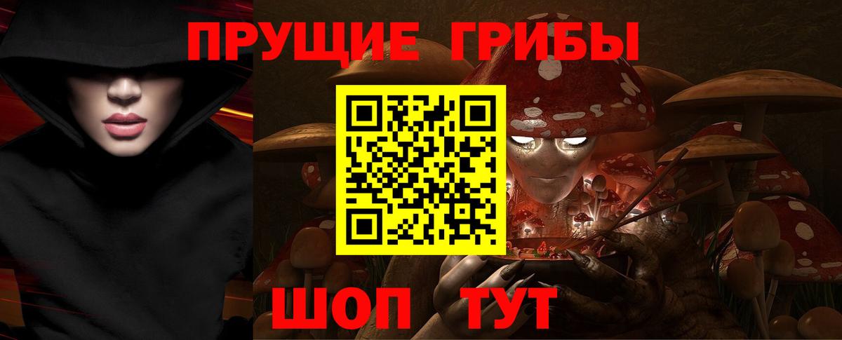 Галлюциногенные грибы Psilocybine cubensis Магадан
